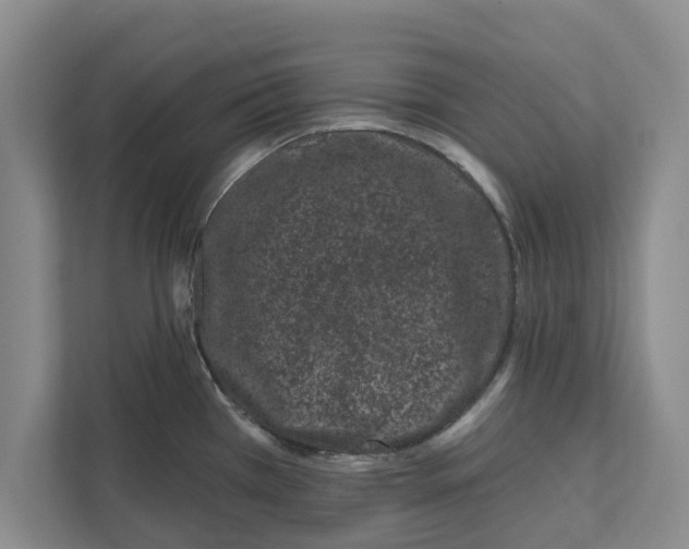 X0000112481385200909141135