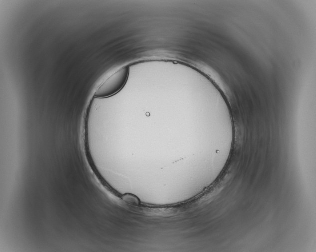 X0000112481387200909141135