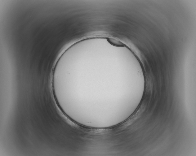 X0000112481390200909141135