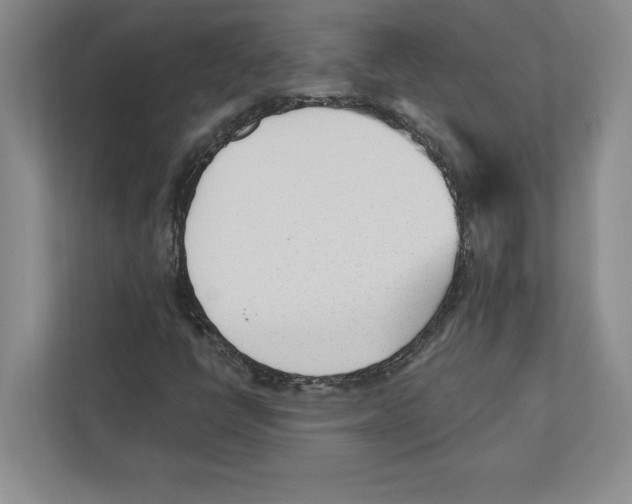 X0000112481398200909141134