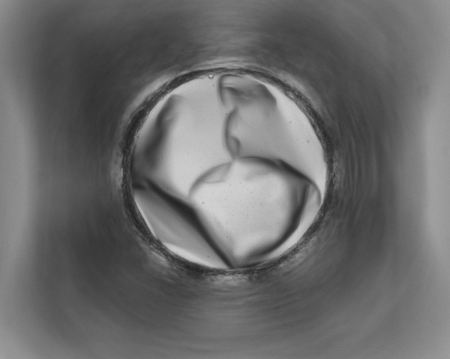 X0000112481406200909141134