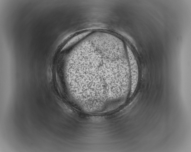 X0000112481407200909141134