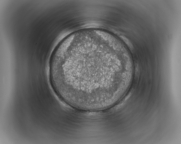 X0000112481418200909141134