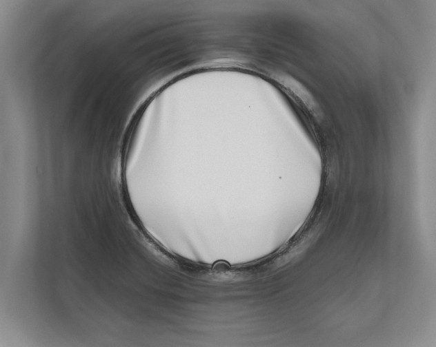 X0000112481420200909141134