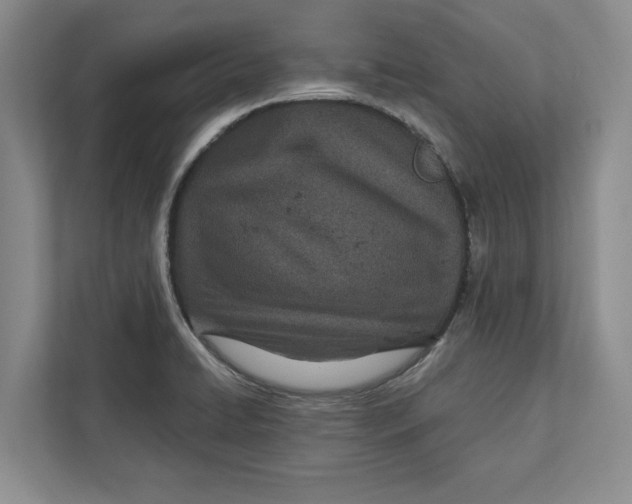 X0000112481422200909141134