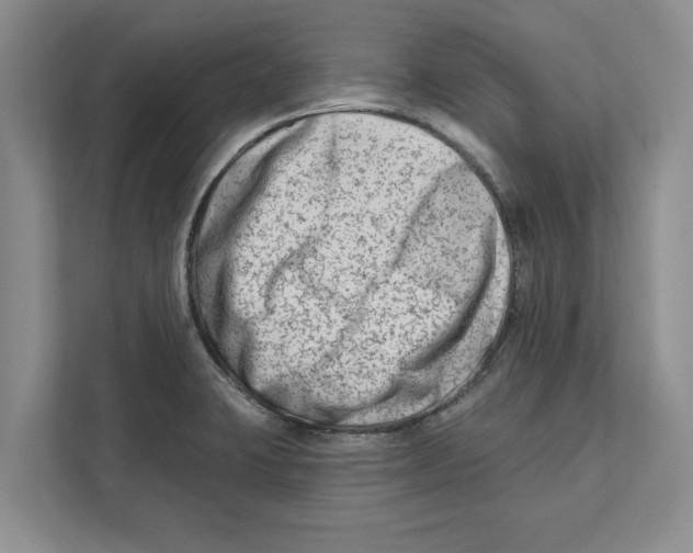 X0000112481423200909141134