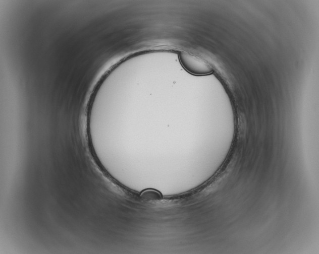 X0000112481424200909141134