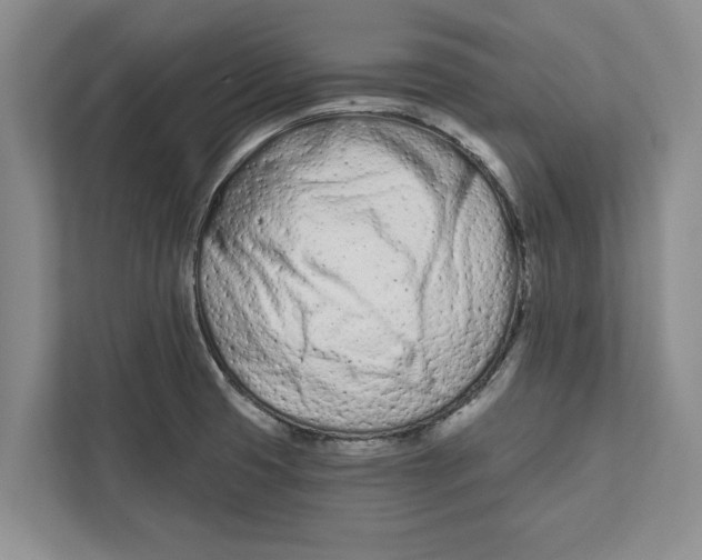 X0000112481425200909141134