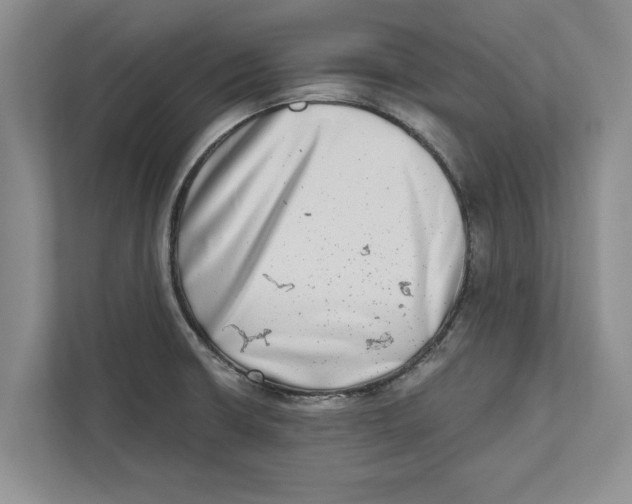 X0000112481426200909141134