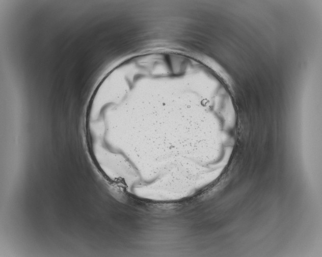 X0000112481431200909141134