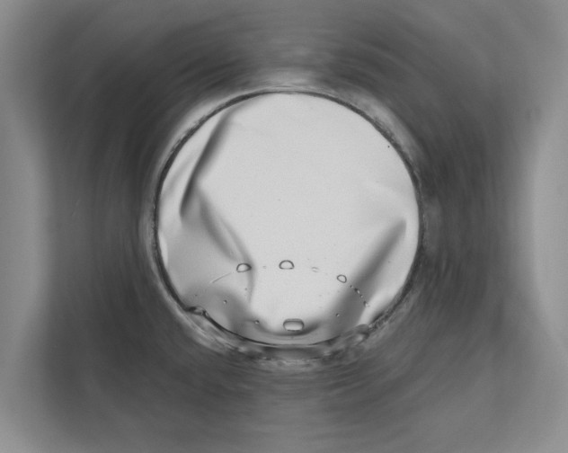 X0000112481432200909141134