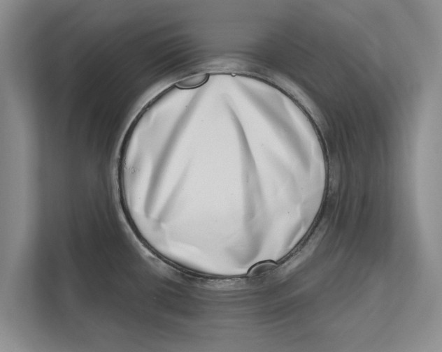 X0000112481434200909141135