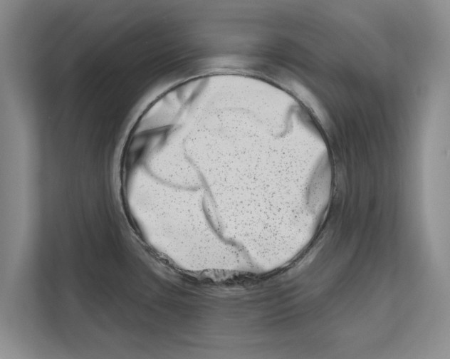 X0000112481435200909141135