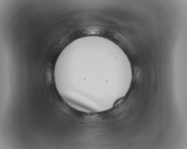 X0000112481442200909141134