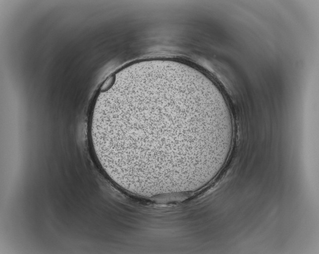 X0000112481459200909141134