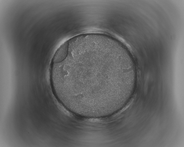 X0000112481463200909141134