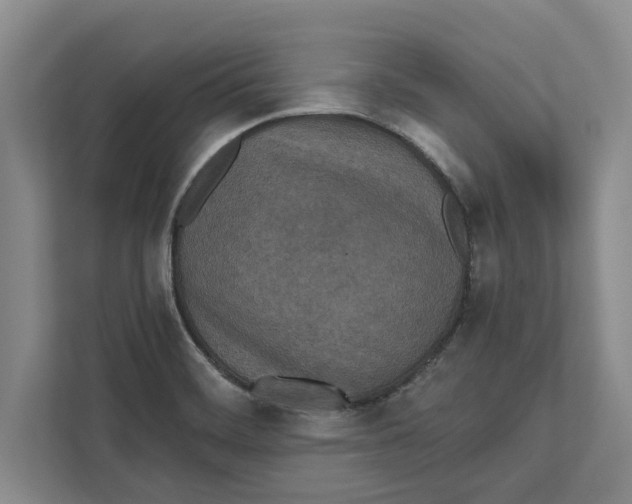 X0000112481468200909141134