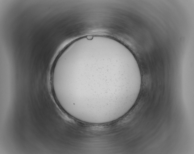 X0000112481470200909141134