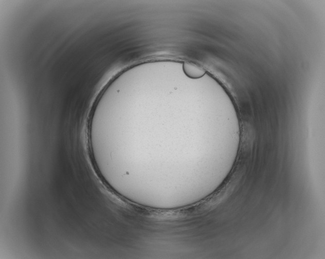 X0000112481474200909141134