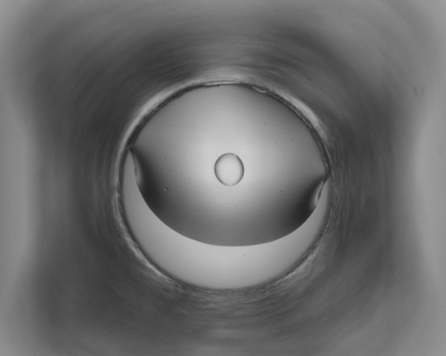 X0000112481477200909141134