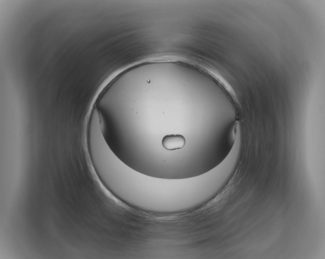 X0000112481484200909141133