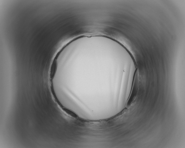 X0000112481485200909141133