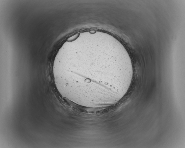 X0000112481494200909141133