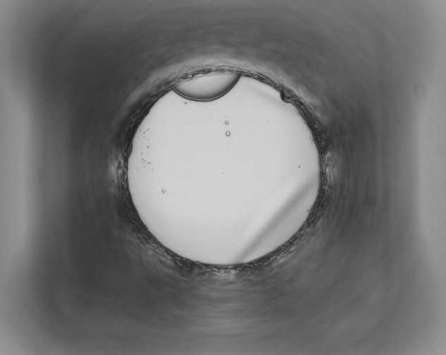 X0000112481495200909141133