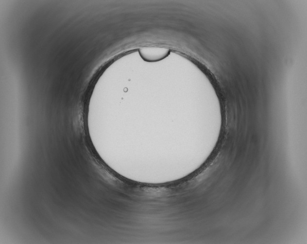 X0000112481498200909141133