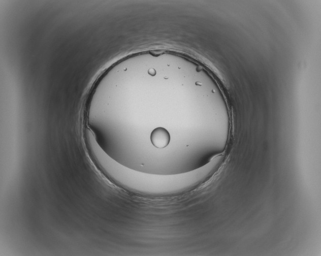 X0000112481500200909141133