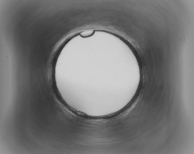 X0000112481502200909141133