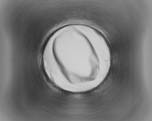 X0000112481507200909141133