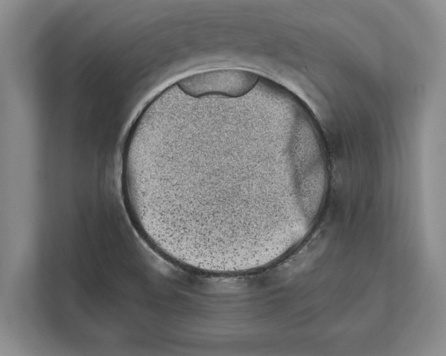 X0000112481508200909141133