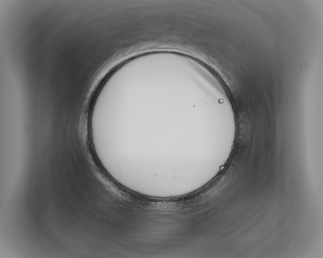 X0000112481511200909141133