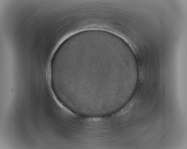 X0000112481515200909141133