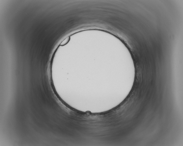 X0000112481516200909141133