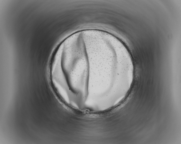 X0000112481517200909141133