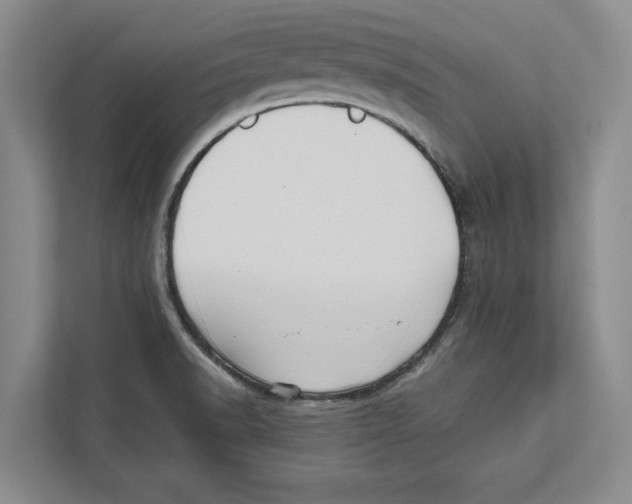 X0000112481518200909141133