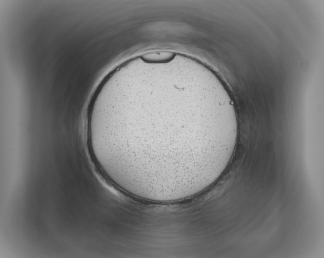 X0000112481519200909141133