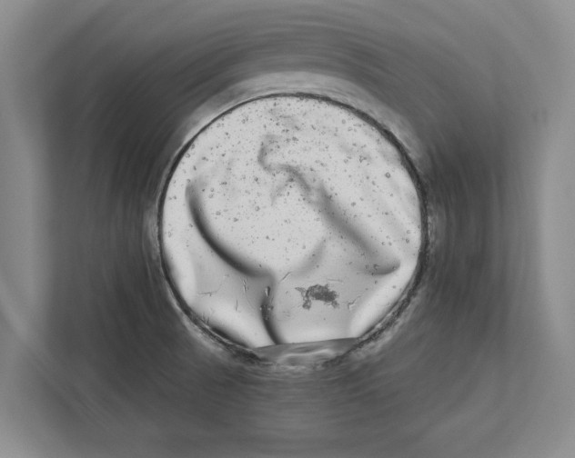 X0000112481521200909141133