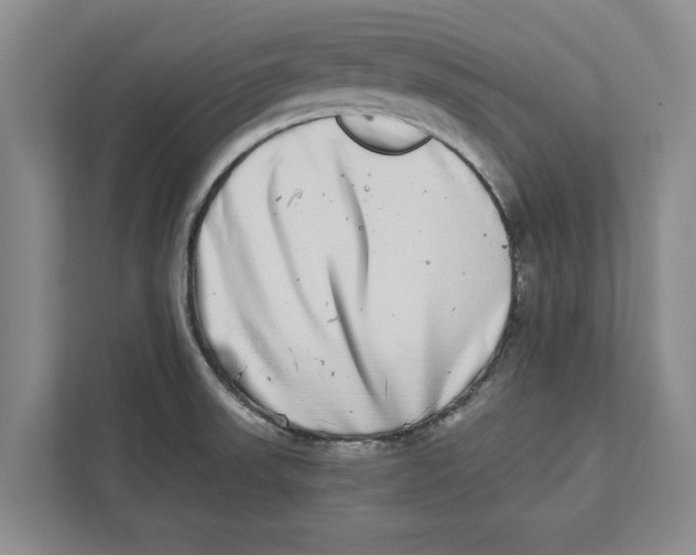 X0000112481523200909141133