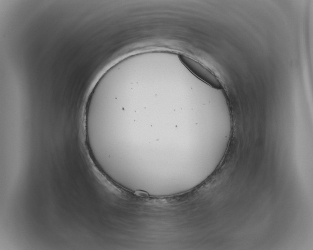 X0000112481524200909141133