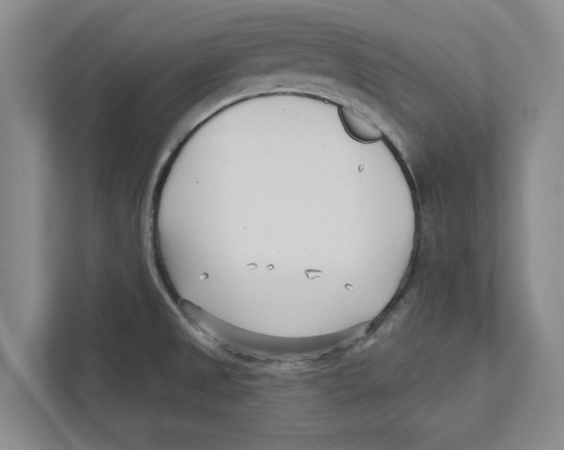 X0000112481525200909141133