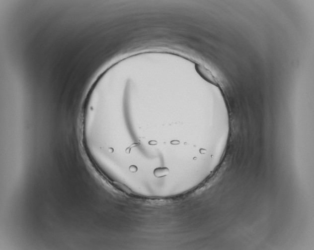 X0000112481526200909141133