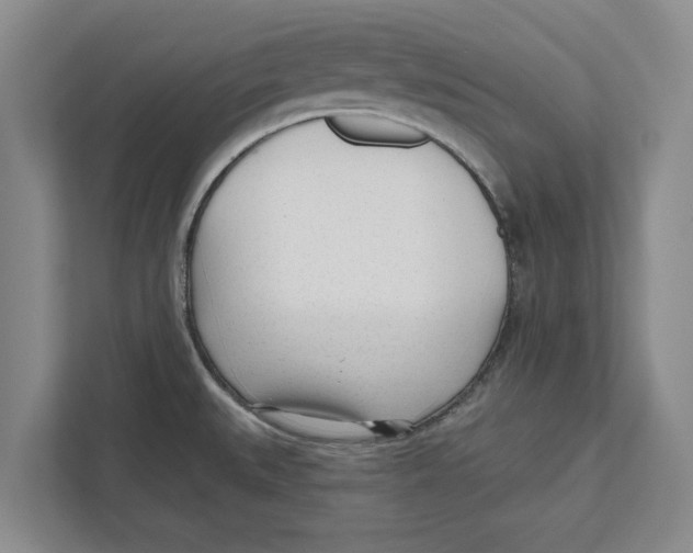 X0000112481527200909141133