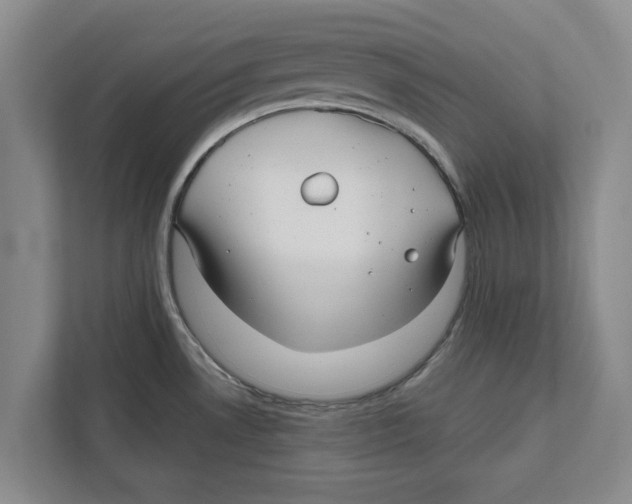 X0000112481530200909141133