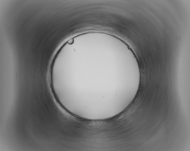 X0000112481531200909141133