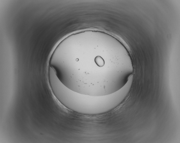 X0000112481532200909141133