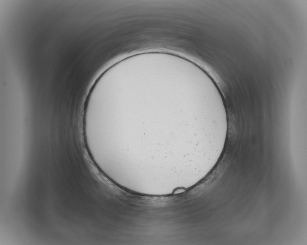 X0000112481534200909141133