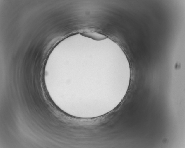 X0000112480001200909281120